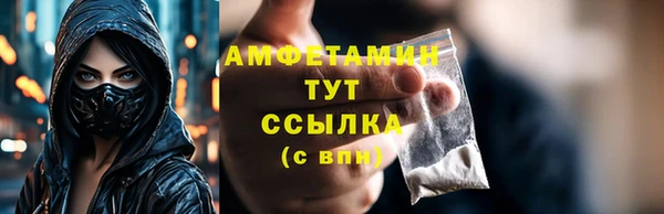 амф Кулебаки