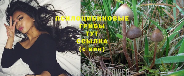 герыч Кукмор