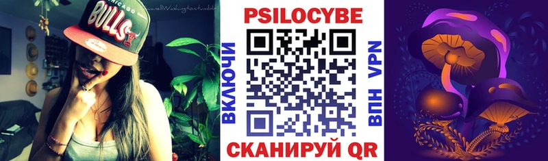 Псилоцибиновые грибы мицелий  Купить  Ессентуки 